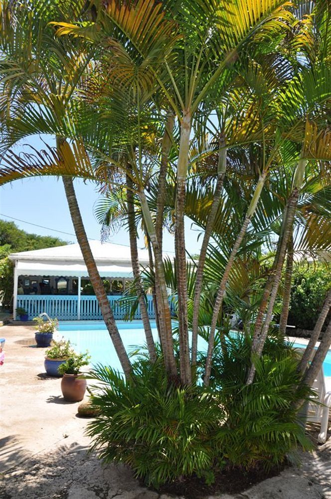 Hotel Cap Sud Caraibes Le Gosier  Exteriör bild